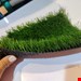 ۲۵ میل سوزنی تراکم ۲۰/۰۰۰ گره، دو لایه چهار سال ضمانت